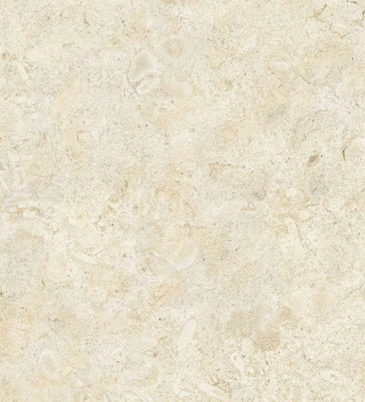 Coralina